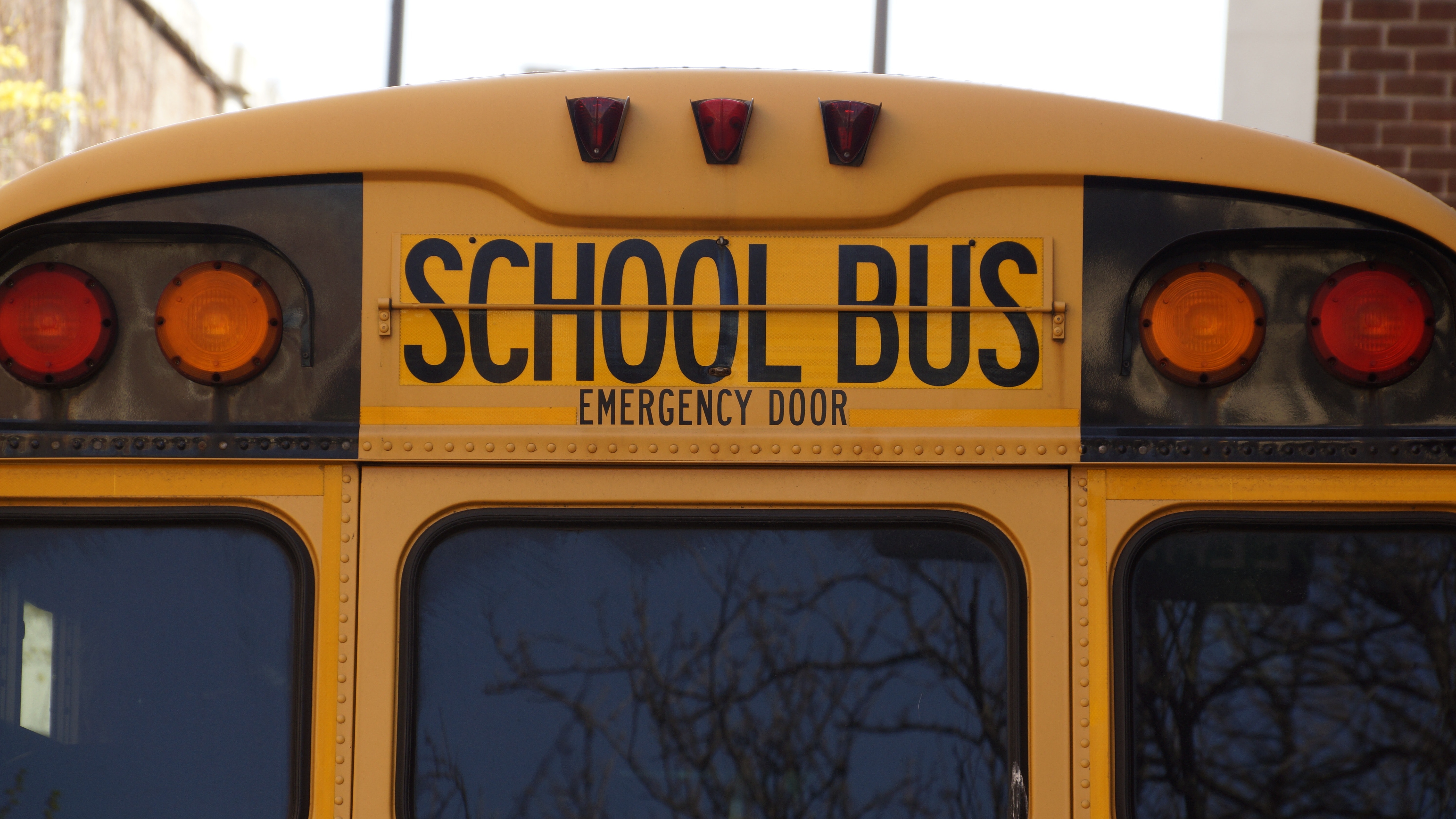 Close-up of the rear of a yellow school bus in New York. The words "School Bus" and "Emergency Door" are visible above the rear window. Red and amber lights are on either side, and trees reflect in the bus's window, operated by a driver with a Commercial Driver's License.