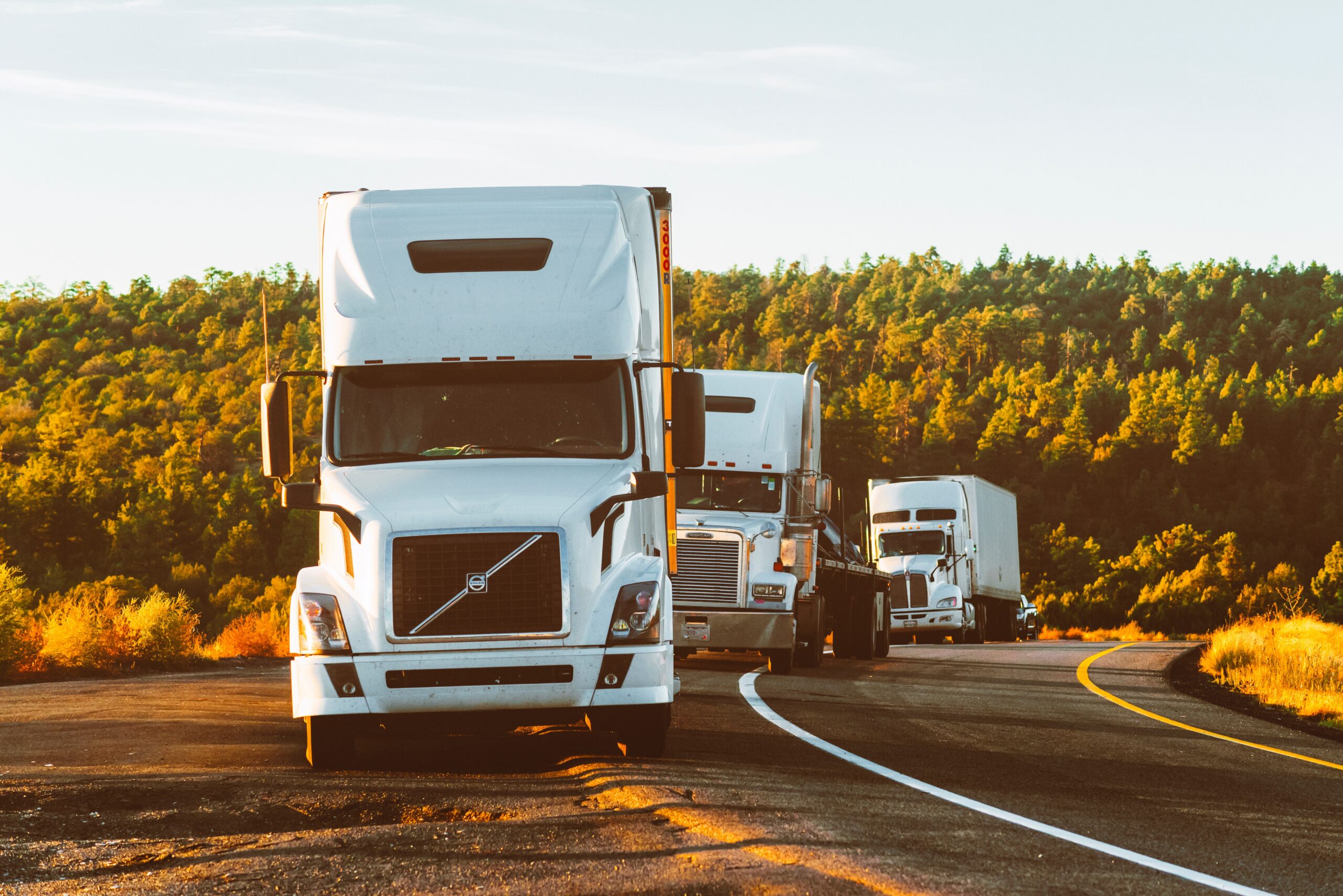 Three white semi-trucks are parked in a line on the side of a road. The New York road curves slightly as it passes through a forested area under a clear blue sky. Sunlight casts long shadows, accentuating the serene setting, untouched by the consequences of commercial DWI violations.