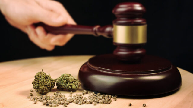 Cannabis and judges gavel